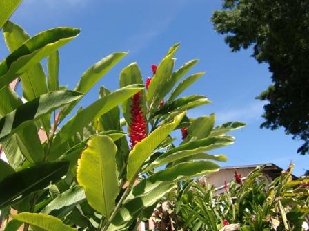 ★Hawaii★ 