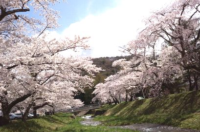 地域情報 〔渡辺　舞〕