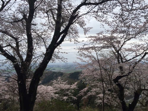 太平山