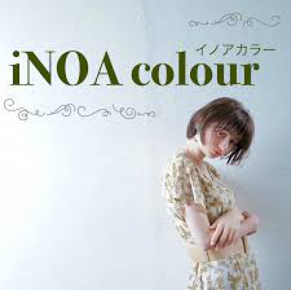 《iNOA》カラーの魅力