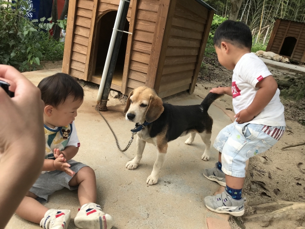 白鳥動物園