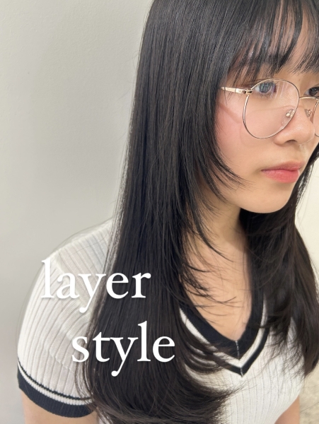 layer style